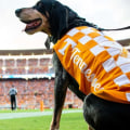 The Impact of Sports Betting Apps on Football Fan Engagement in Nashville, Tennessee