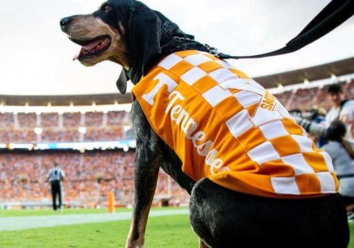 The Impact of Sports Betting Apps on Football Fan Engagement in Nashville, Tennessee
